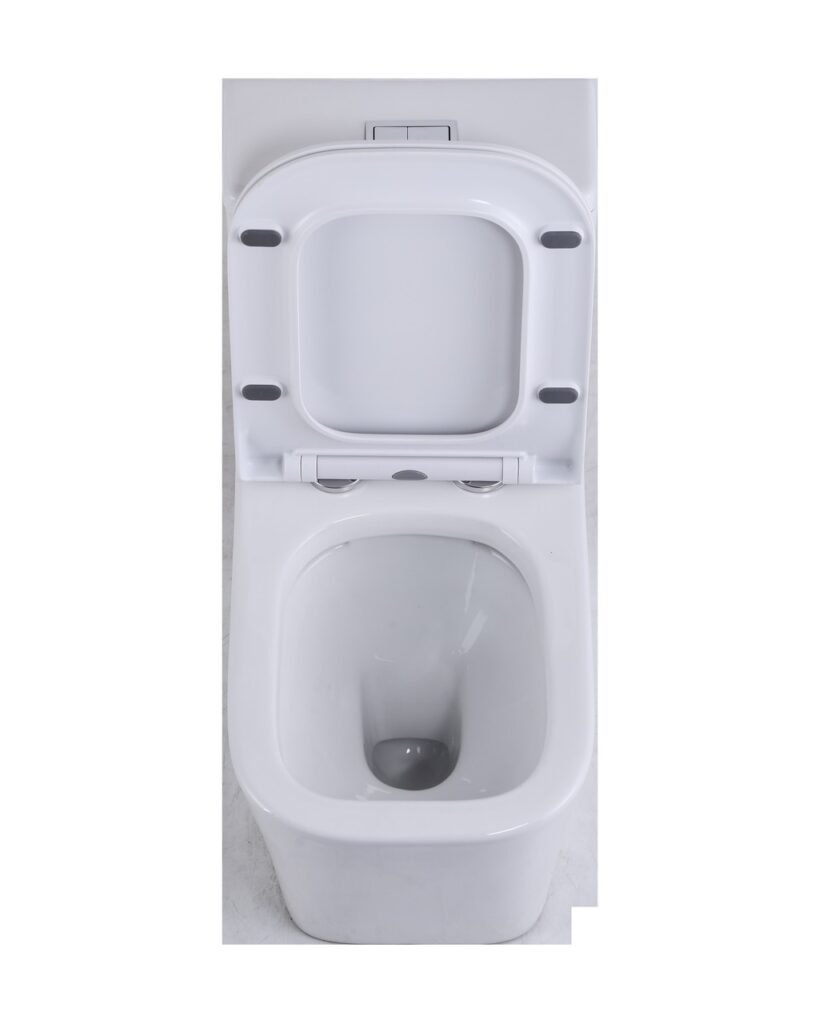 Sheng Ge 6078 one-piece vitreous china toilet, studio product photograph