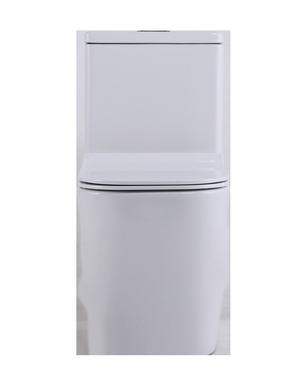 Model 6078 — One-piece toilet
