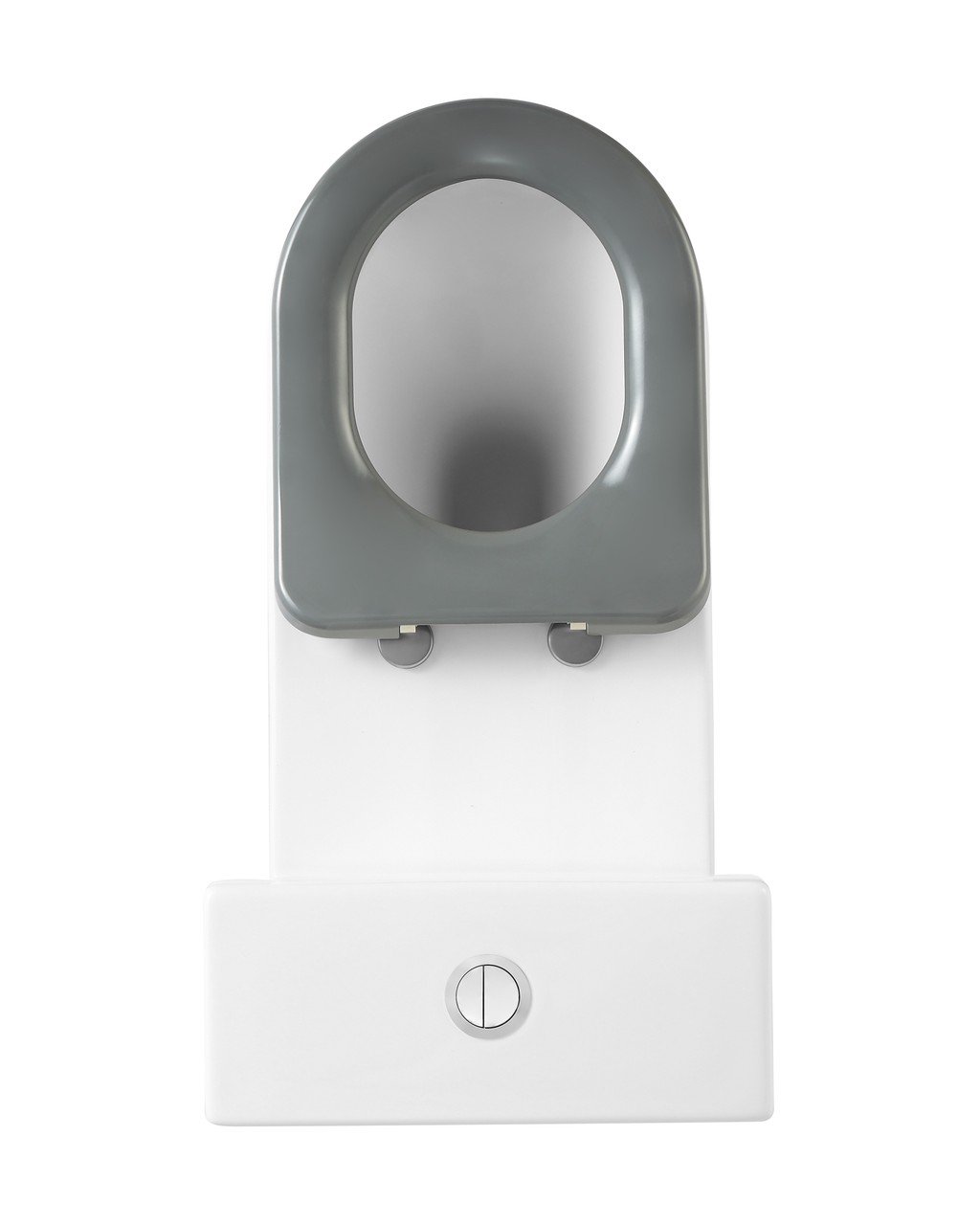 6098 · Accessible Toilet - Image 2