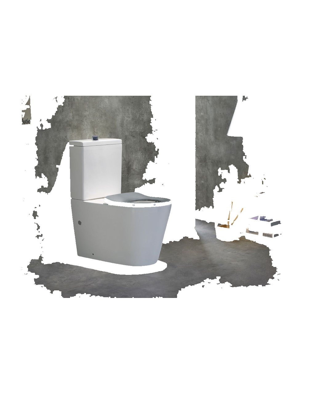 6098 · Accessible Toilet - Image 3