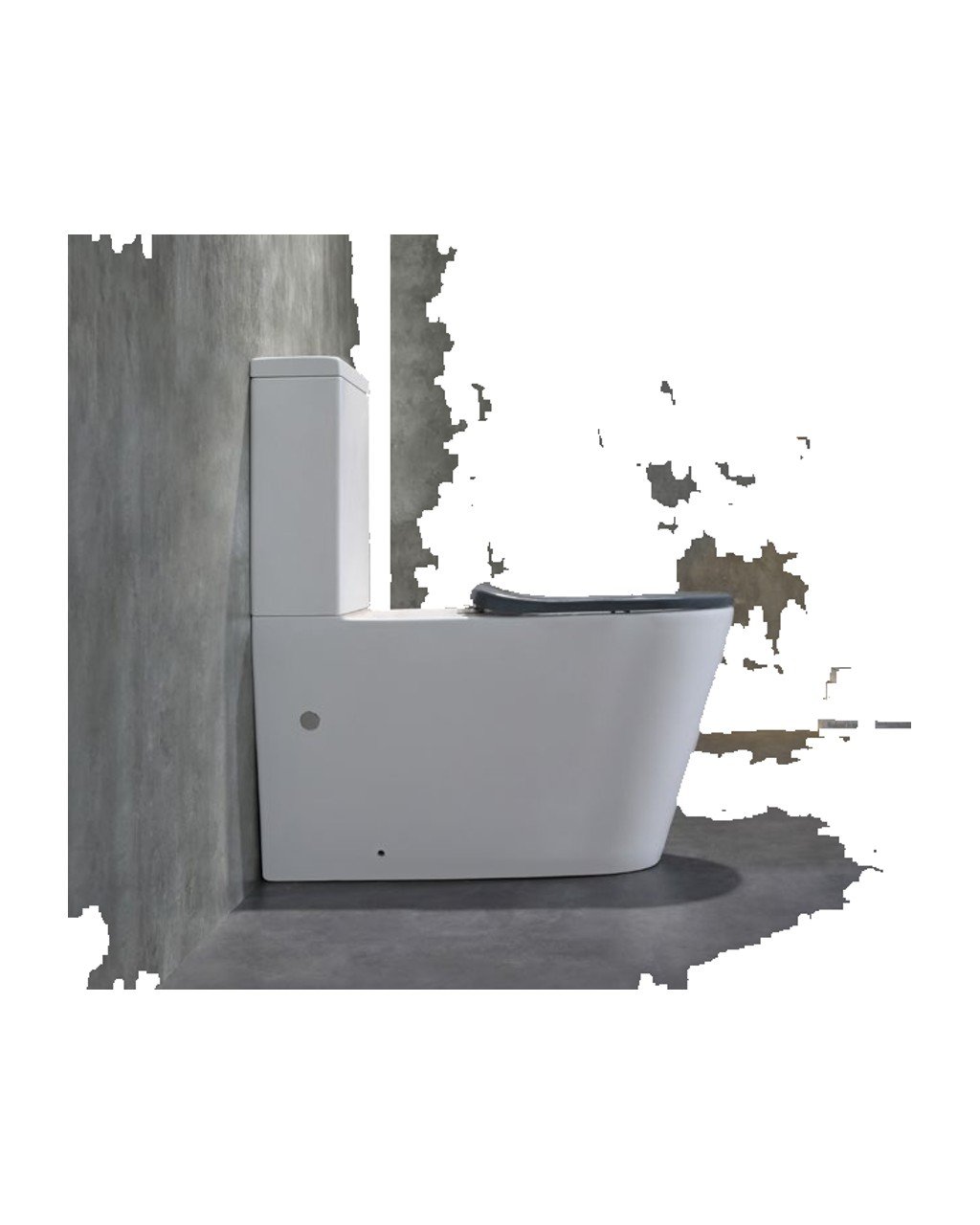 6098 · Accessible Toilet - Image 4